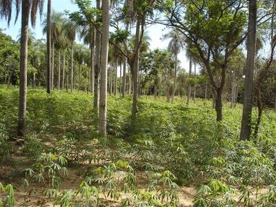 Imagen sin descripción