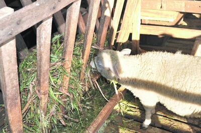 Imagen sin descripción