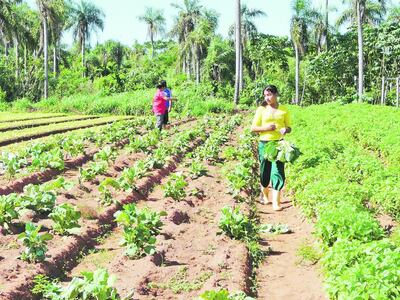 /pf/resources/images/abc-placeholder.png?d=2425