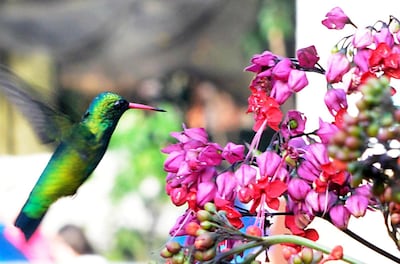 /pf/resources/images/abc-placeholder.png?d=2394