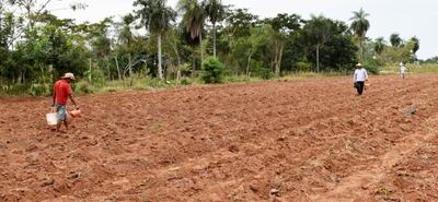 Las familias interesadas deben contar con  un espacio donde desarrollarán la huerta.