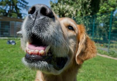 /pf/resources/images/abc-placeholder.png?d=2425