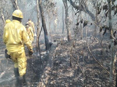 Imagen sin descripción