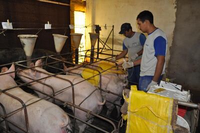 /pf/resources/images/abc-placeholder.png?d=2394