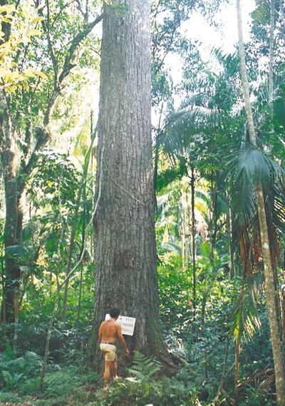 /pf/resources/images/abc-placeholder.png?d=2393