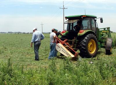 Imagen sin descripción