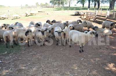 Imagen sin descripción