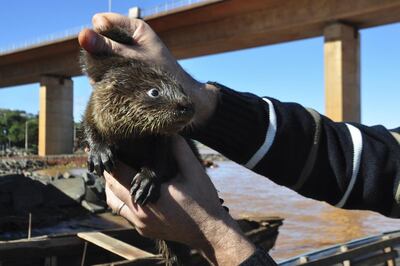 /pf/resources/images/abc-placeholder.png?d=2426