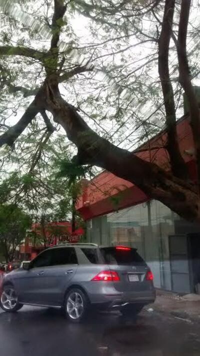 /pf/resources/images/abc-placeholder.png?d=2397