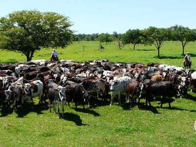 /pf/resources/images/abc-placeholder.png?d=2429