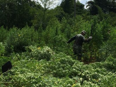 /pf/resources/images/abc-placeholder.png?d=2425