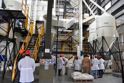 Se ofrecen balanceados para bovinos, ovinos, porcinos y aves.