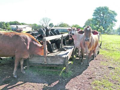 /pf/resources/images/abc-placeholder.png?d=2421