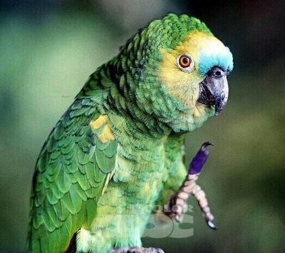 /pf/resources/images/abc-placeholder.png?d=2393