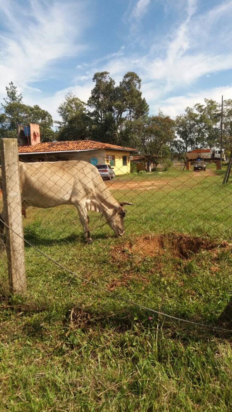 Imagen sin descripción