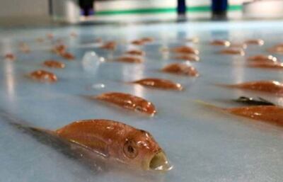 /pf/resources/images/abc-placeholder.png?d=2429