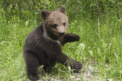 Imagen sin descripción