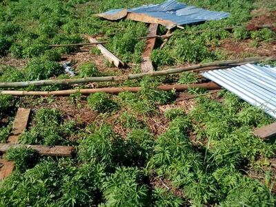 /pf/resources/images/abc-placeholder.png?d=2395