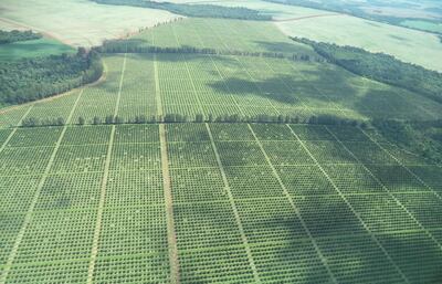 /pf/resources/images/abc-placeholder.png?d=2393