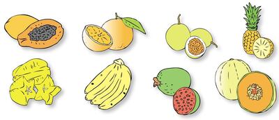 Imagen sin descripción