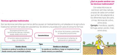 Técnicas agrícolas