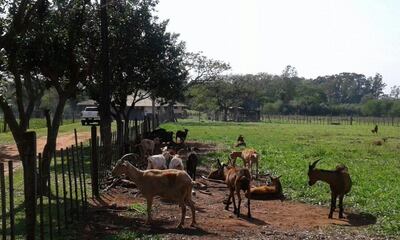 /pf/resources/images/abc-placeholder.png?d=2424