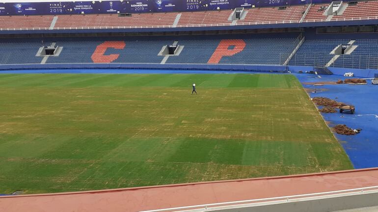 La Nueva Olla, césped, Copa Sudamericana.