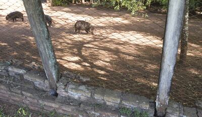 /pf/resources/images/abc-placeholder.png?d=2394