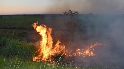 Las llamas avanzan en los costados de la Ecovía de la cuenca del Lago Ypacaraí, arrasando con arbustos y pastizales. Los bomberos voluntarios hacían todo lo posible para apagarlas.