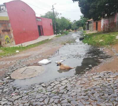 /pf/resources/images/abc-placeholder.png?d=2393