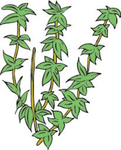 /pf/resources/images/abc-placeholder.png?d=2393