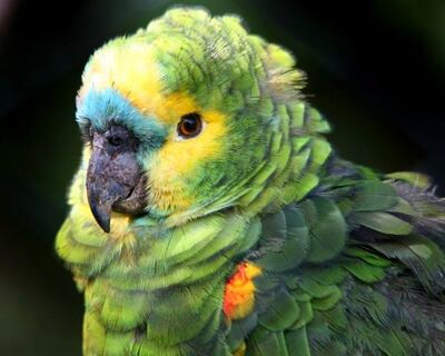 Imagen sin descripción