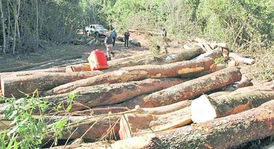 /pf/resources/images/abc-placeholder.png?d=2420