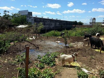 /pf/resources/images/abc-placeholder.png?d=2421