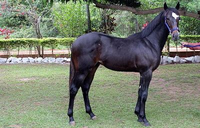 /pf/resources/images/abc-placeholder.png?d=2395