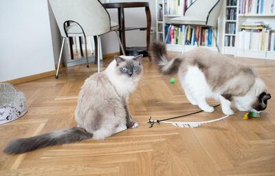 /pf/resources/images/abc-placeholder.png?d=2394