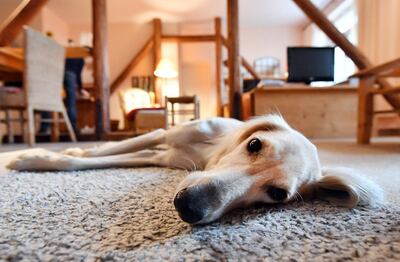 /pf/resources/images/abc-placeholder.png?d=2421