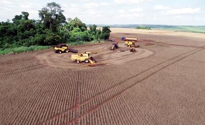 Cosecha de soja en la zona de Caaguazú, donde se esperan buenos resultados que podrán dar “respiro” a  productores. (Gentileza)