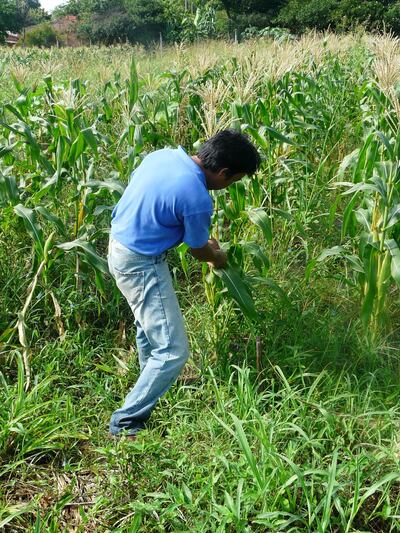 /pf/resources/images/abc-placeholder.png?d=2422