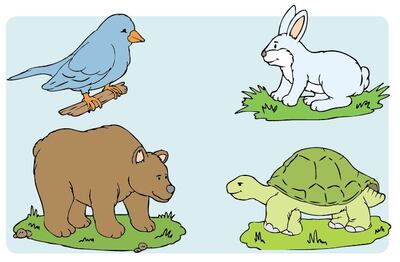 Imagen sin descripción