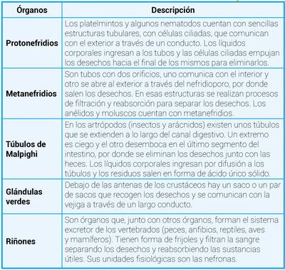 /pf/resources/images/abc-placeholder.png?d=2425