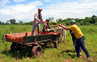 /pf/resources/images/abc-placeholder.png?d=2395