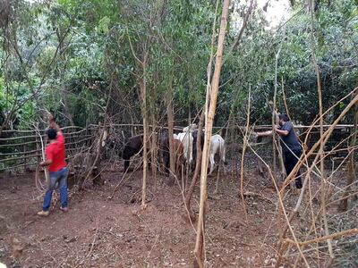 /pf/resources/images/abc-placeholder.png?d=2400