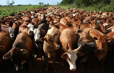 /pf/resources/images/abc-placeholder.png?d=2395