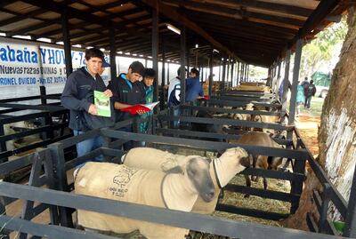 /pf/resources/images/abc-placeholder.png?d=2393