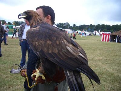 /pf/resources/images/abc-placeholder.png?d=2394