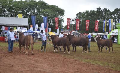 /pf/resources/images/abc-placeholder.png?d=2395