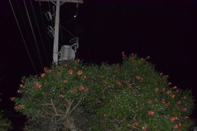 /pf/resources/images/abc-placeholder.png?d=2394