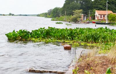 Algunos botes “anclados” a orillas del río Paraguay en la zona de Puerto Rosario, comunidad que forma parte del distrito de Villa del Rosario.