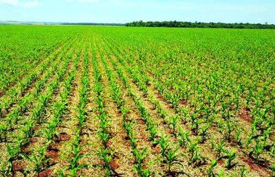 /pf/resources/images/abc-placeholder.png?d=2399